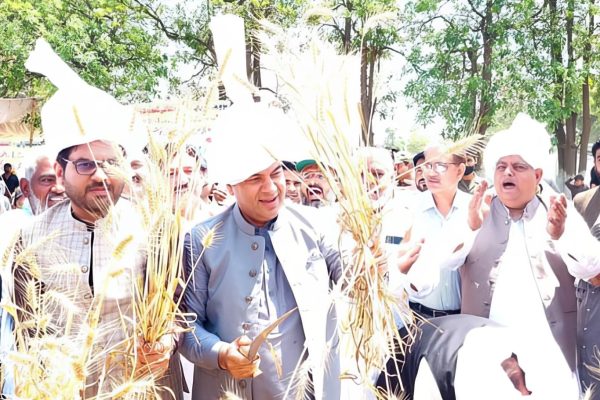 commissioner randhawa kicks off wheat harvesting season in lahore division