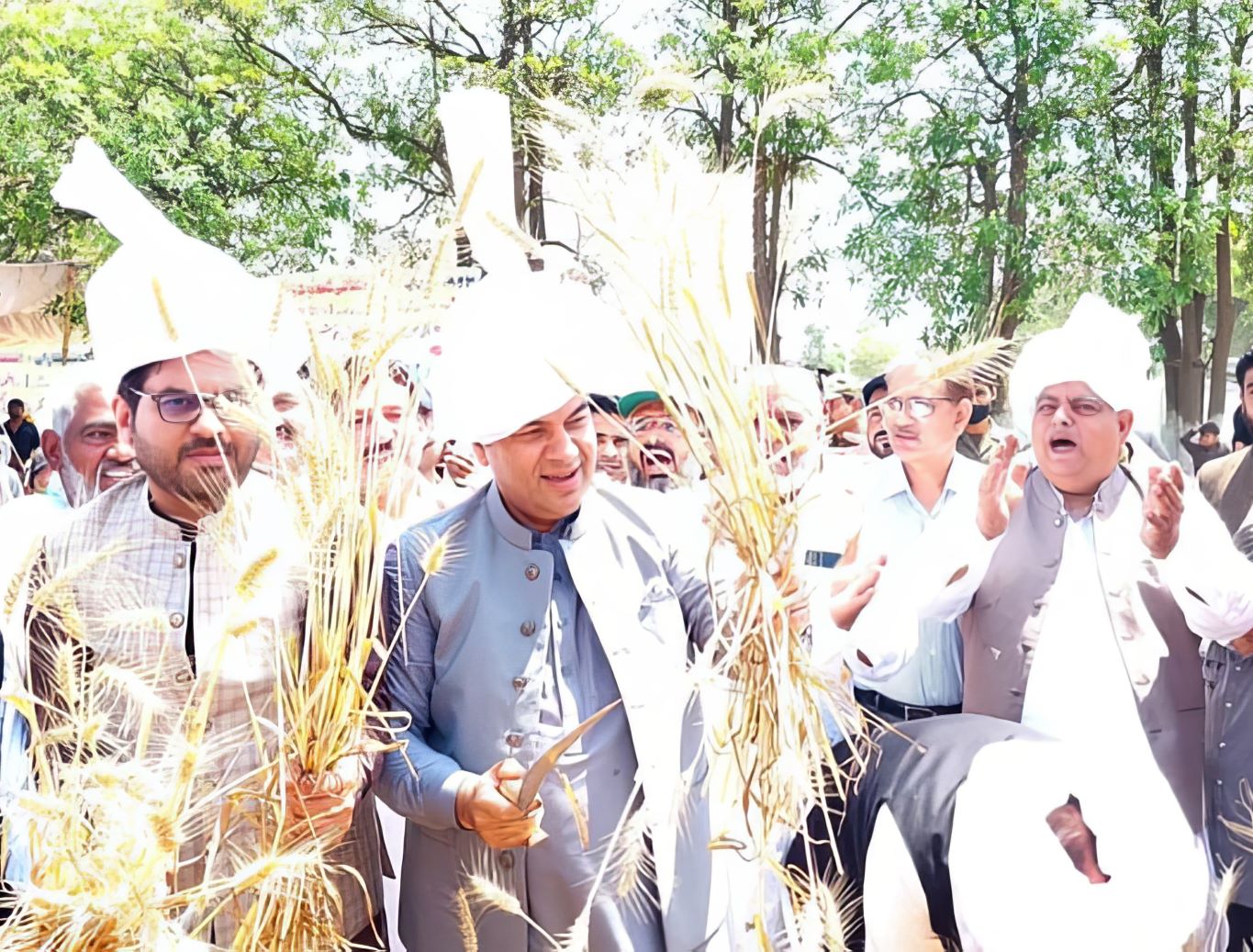 commissioner randhawa kicks off wheat harvesting season in lahore division