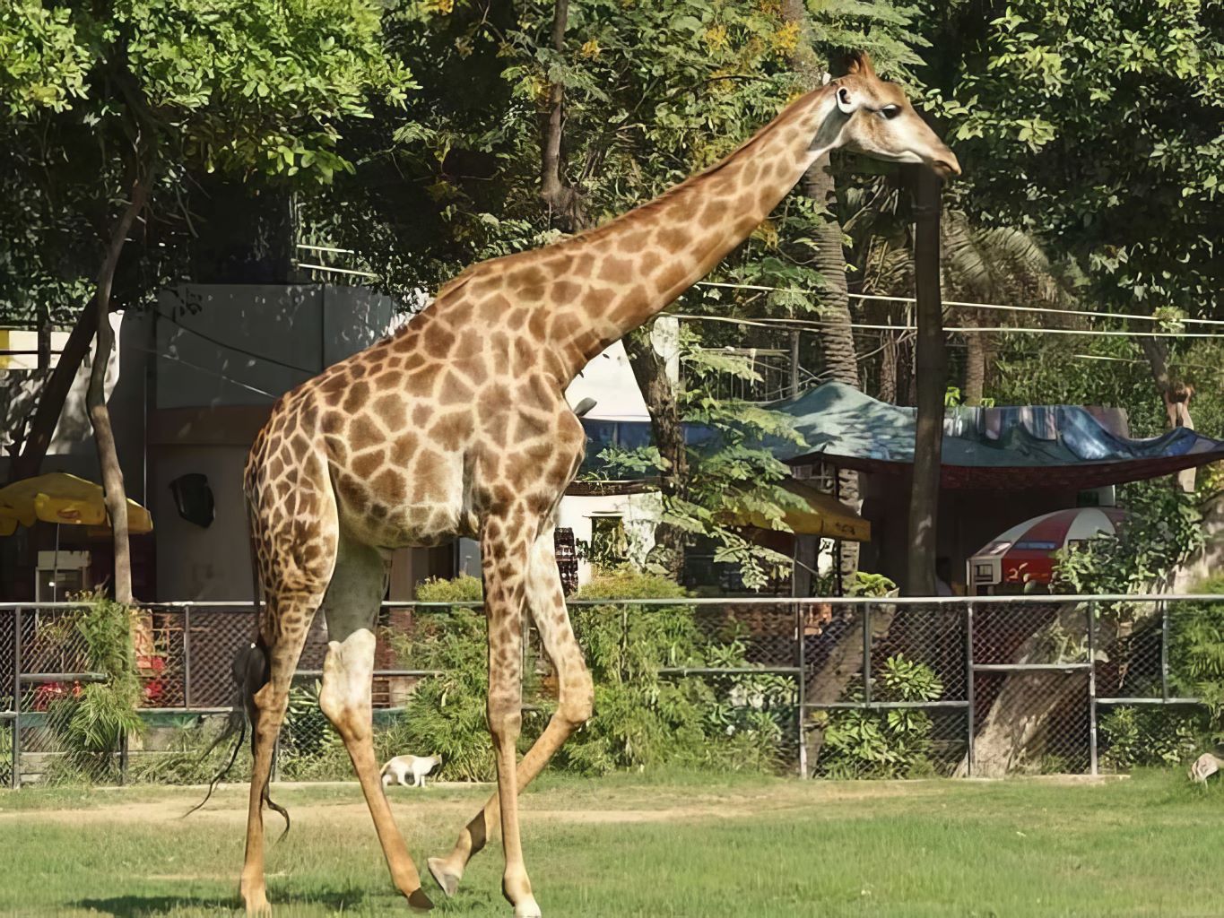 lahore zoo open date