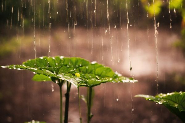 weather forecast rain and storms expected in lahore and punjab